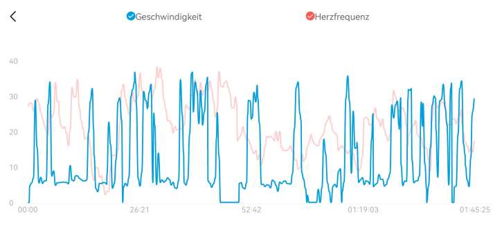 Typische Aufzeichnung einer Wingsurf-Session