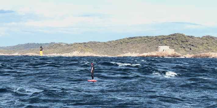 sup/la-diagonale-du-lion-6_7449c4084914efc7e8025ecc13e987eb