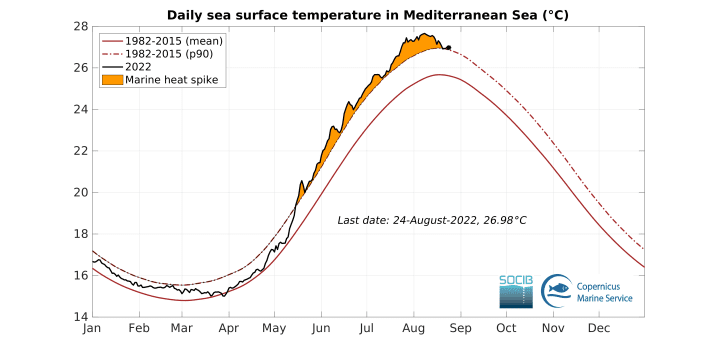 Le misurazioni della temperatura dell'acqua mostrano che anche gli estremi di temperatura a breve termine sono in forte aumento | Grafico: SOCIB/Servizio marittimo Copernicus