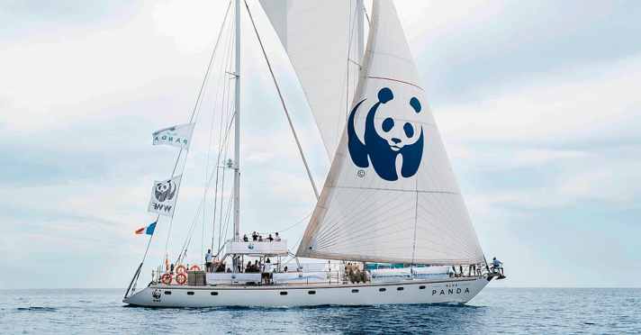 Tiefseelebensräume und -arten im Mittelmeer erforschen sowie für Schutzprojekte bei den Menschen vor Ort werben, dafür nutzen die Tierschützer ihren blauen Seebären | WWF