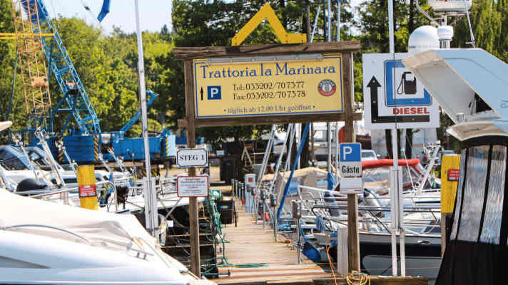 Ringel marina | Jürgen Strassburger