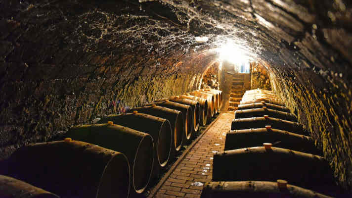 Noble Tokaj wines are stored in wooden barrels deep under the Kvaszinger vineyard