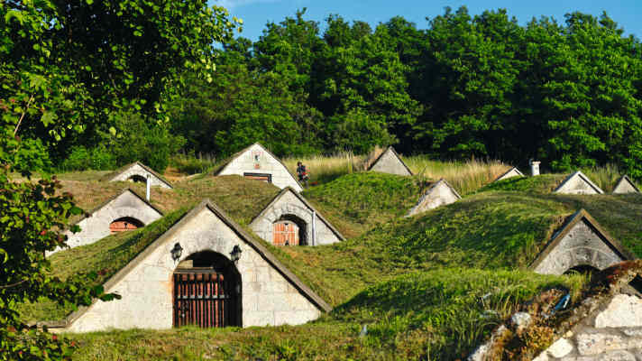 No hobbit houses, but wine cellars near Sárospatak