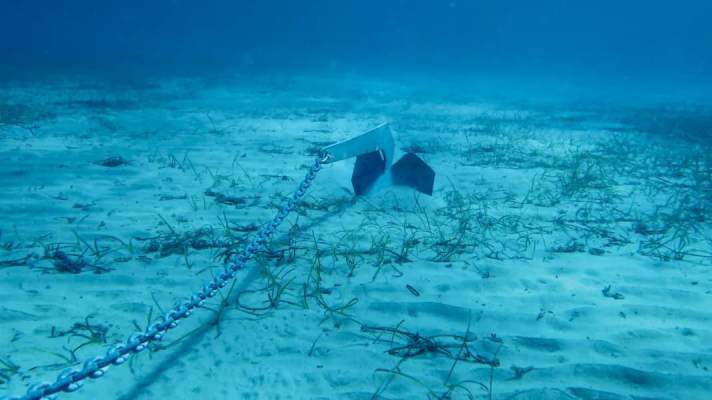 Anchoring in seaweed has long been prohibited under EU law