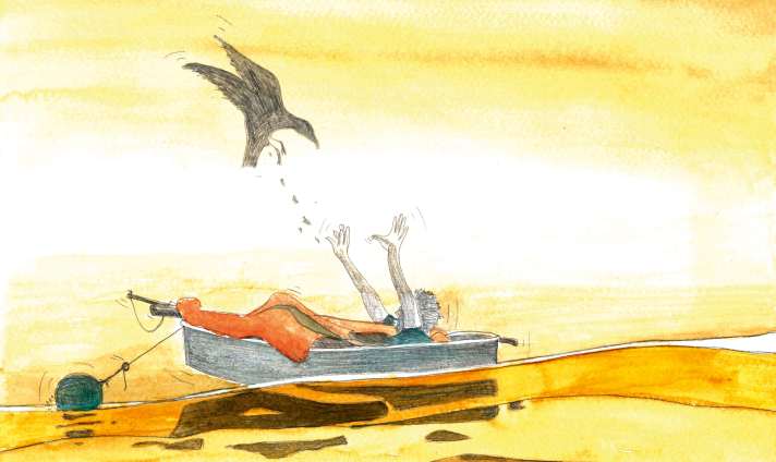 Réveil brutal d'un oiseau de mer