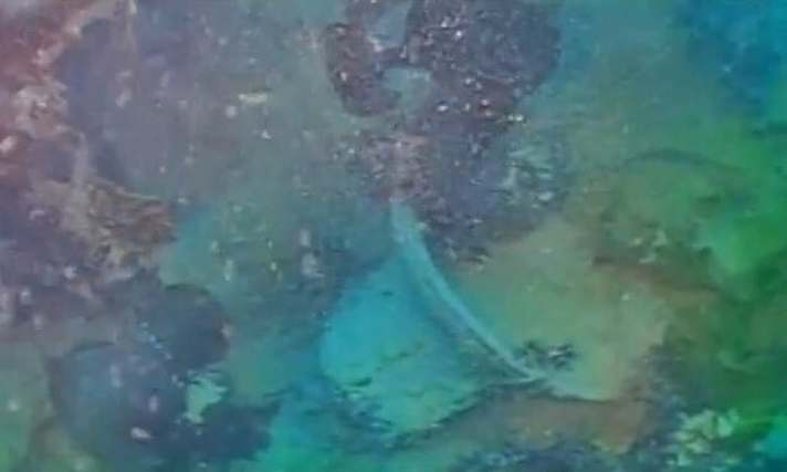   Unterwasseraufnahmen der "HMS Terror": Die Schiffsglocke ist darauf zu sehen