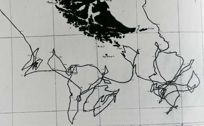   Document of horror: course of the "Susanna" during the 99 days at Cape Horn