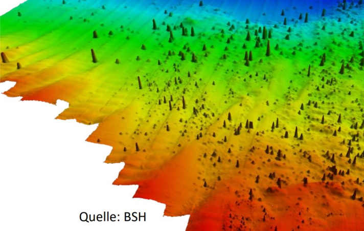 Étude de paysages sous-marins assistée par IA.