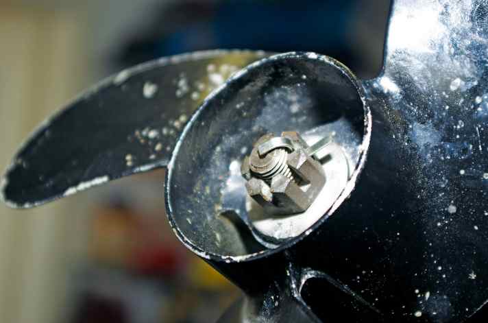 Outboard motor