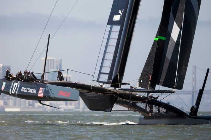   Il gatto predecessore "USA 17"