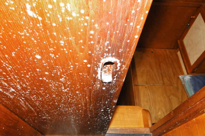 Schimmel entfernen