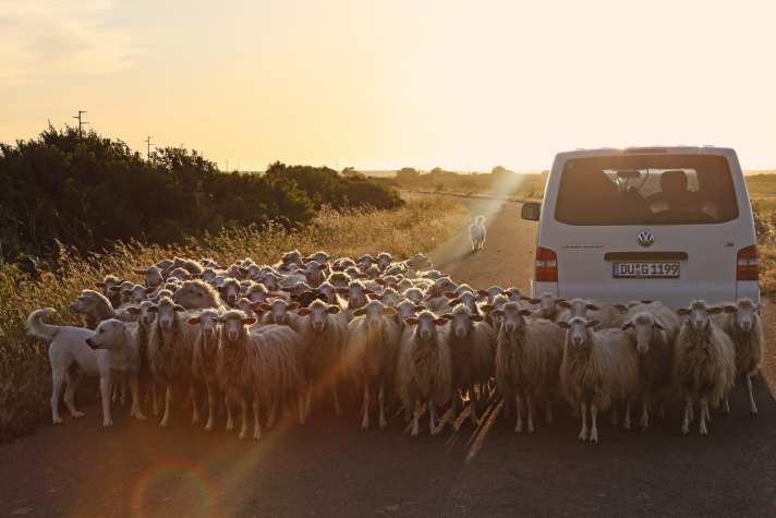 Sardinien
