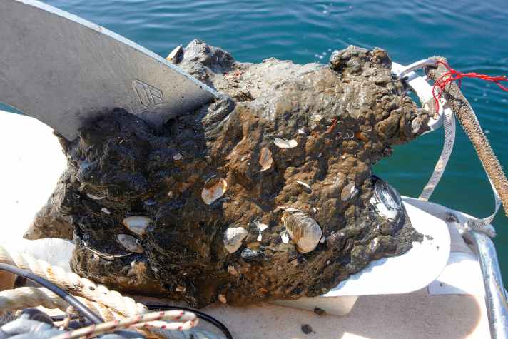 Typical clay. The anchor holds well, but the ground gives way. It breaks out in whole clods