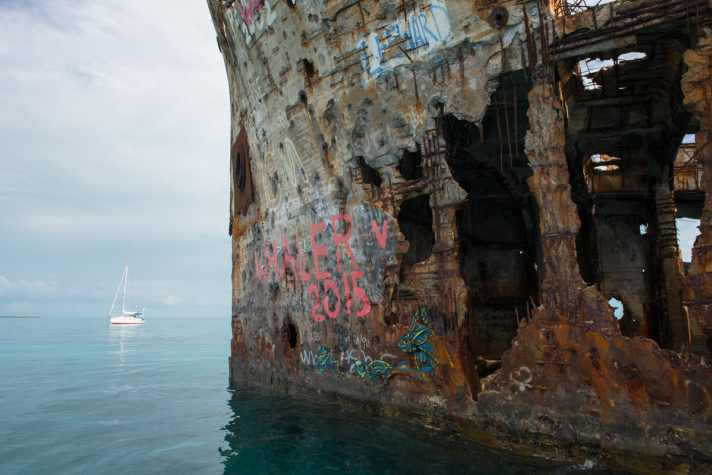   Schnorcheln am Wrack der "Sapona" vor Bimini