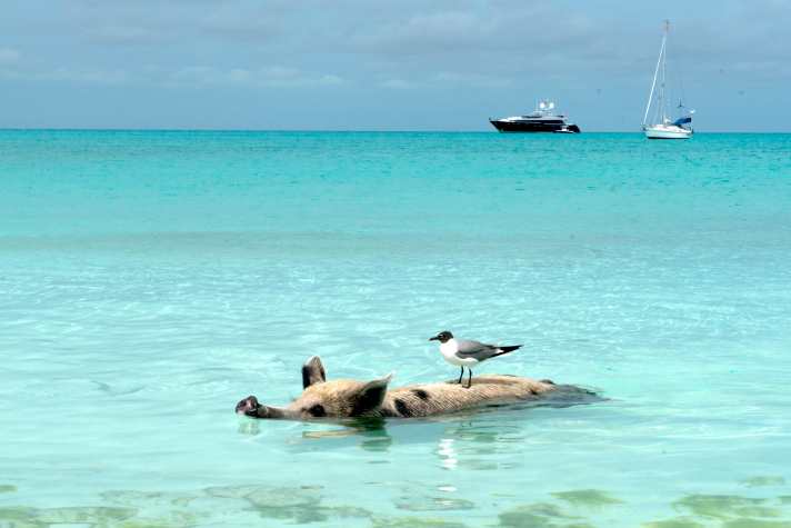   Traumhafte Bahamas: ein Foto von den unvergesslich schönen Seiten des Lebens. Es gab aber auch dunkle Momente da draußen, die Johannes Erdmann offen anspricht
