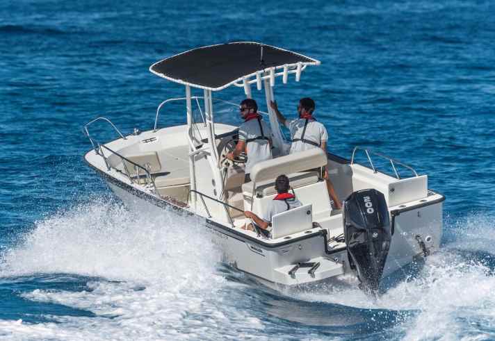 Boston Whaler 210 Montauk