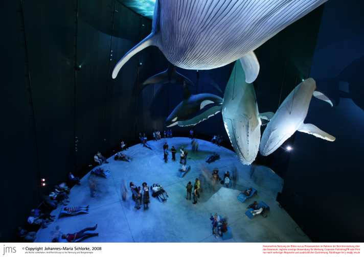   Lebensgroße Nachbildungen von Walen im Ozeaneum Stralsund.