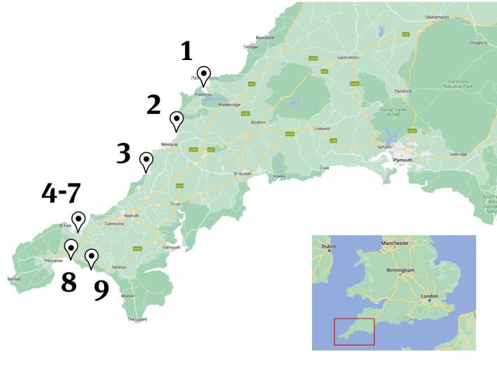 There are nine wave spots for experts and beginners in Cornwall in a very small area.