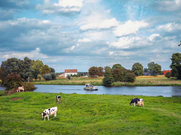   Wassersportrevier in Gefahr: Hamburgs Dove-Elbe