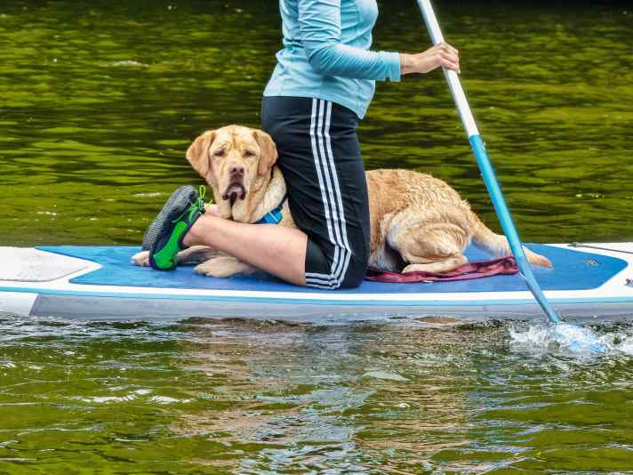 sup/M3750502_0d4aeb9a6fb6875ebd1f905047ed297b