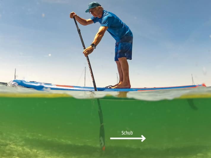 The arrow shows how the paddle stands vertically in the water and transforms the energy into thrust (arrow).