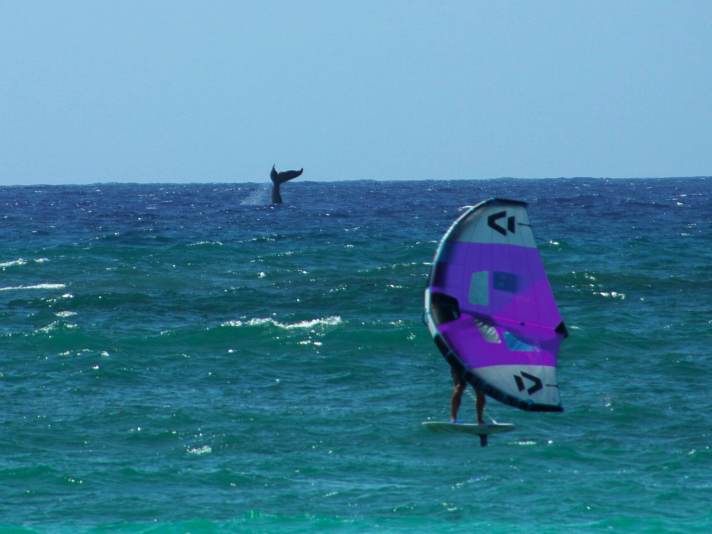 surf/100088276_59cfb5062f040526056eb94386256a53