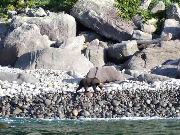 Würdest du mit ihm dein Zelt teilen?
