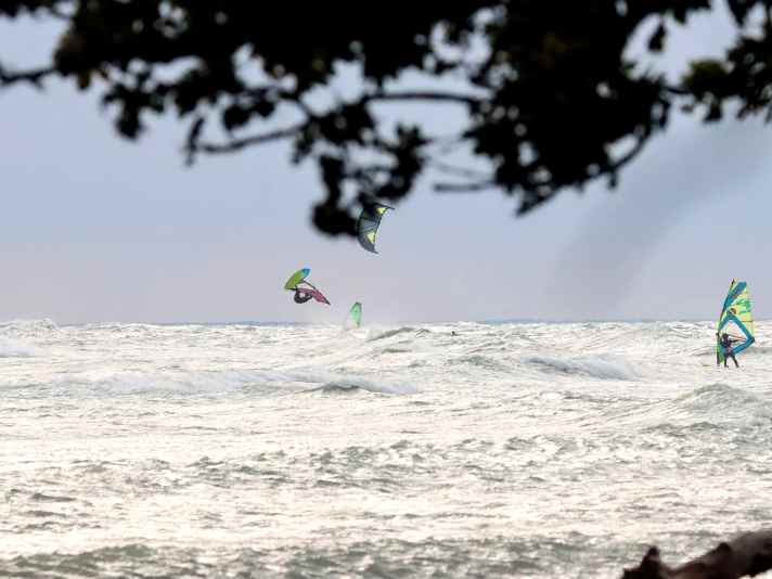 Prerequisite for waves at Møn Fyr: strong easterly winds - but these are mainly found in winter and spring.