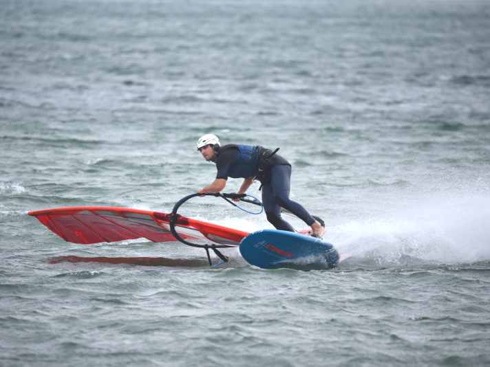 "The fin should not die out," says Meno