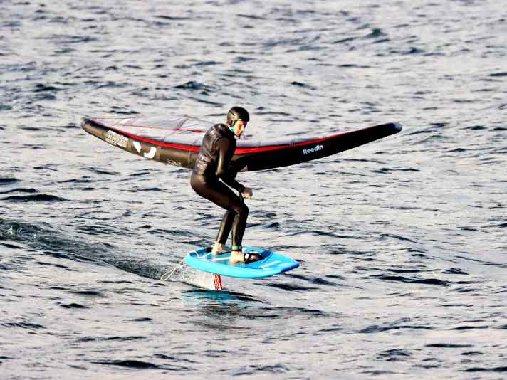 Reedin Superwing X