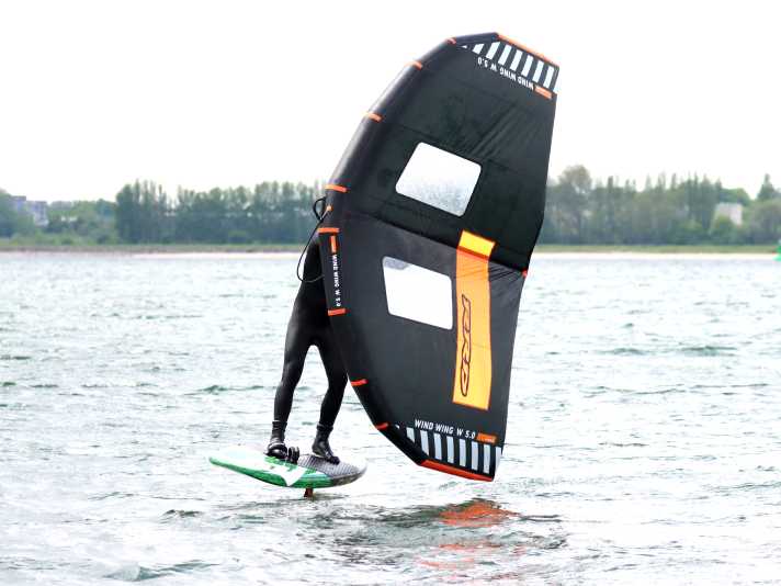 Wingtips pulled far back can ensure that the wing comes into contact with the water during rotations and pumping despite the small wingspan