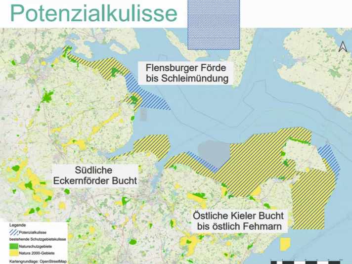 Große Teile der Küste könnten Teil des Nationalpark Ostsee werden. Auf mindestens 50 Prozent der Flächen wäre Wassersport dann akut gefährdet