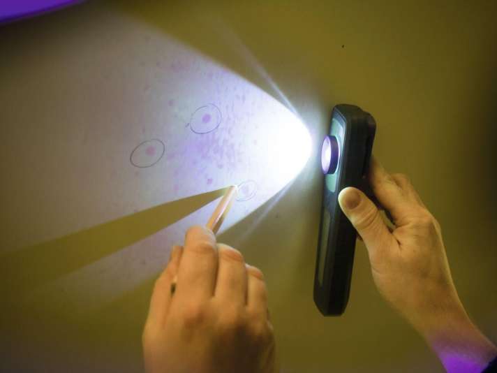 Verificare la presenza di osmosi: Le bolle di osmosi possono essere rilevate con la luce radente, preferibilmente in autunno. Se sono visibili, consultare uno specialista