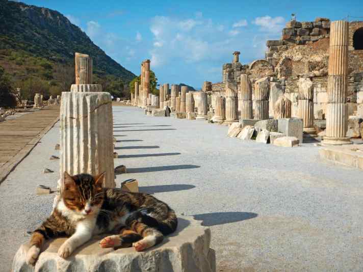  Die türkische Ägäisküste ist wie hier in Ephesos überreich an Zeugnissen aus der Antike