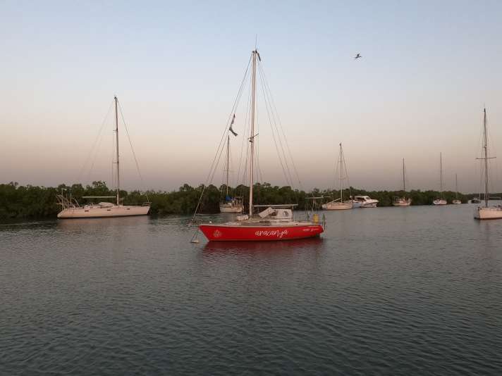   Die "Aracanga" an ihrem Ankerplatz im Gambia River