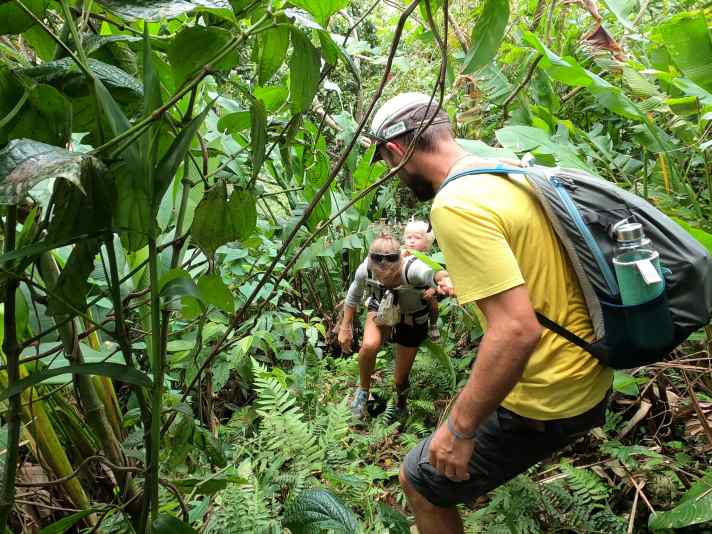   Jungle hike on Grenada