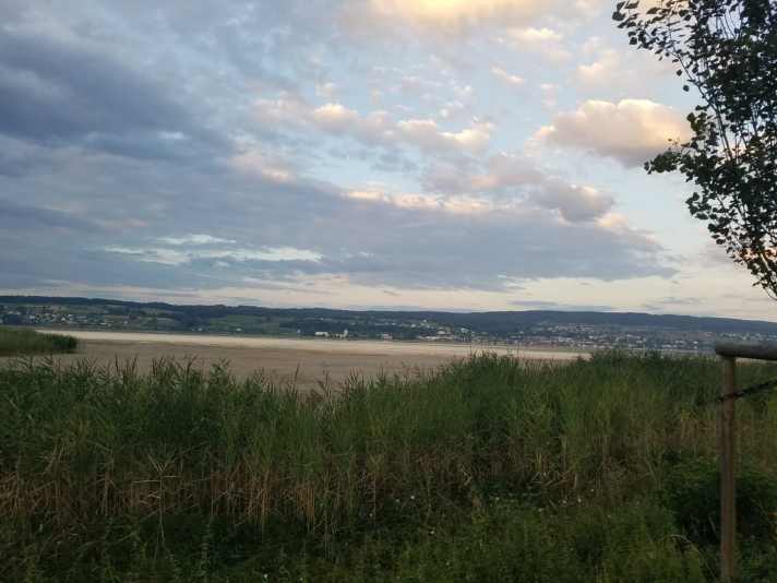   Trockengefallene Seefläche im Untersee bei Reichenau