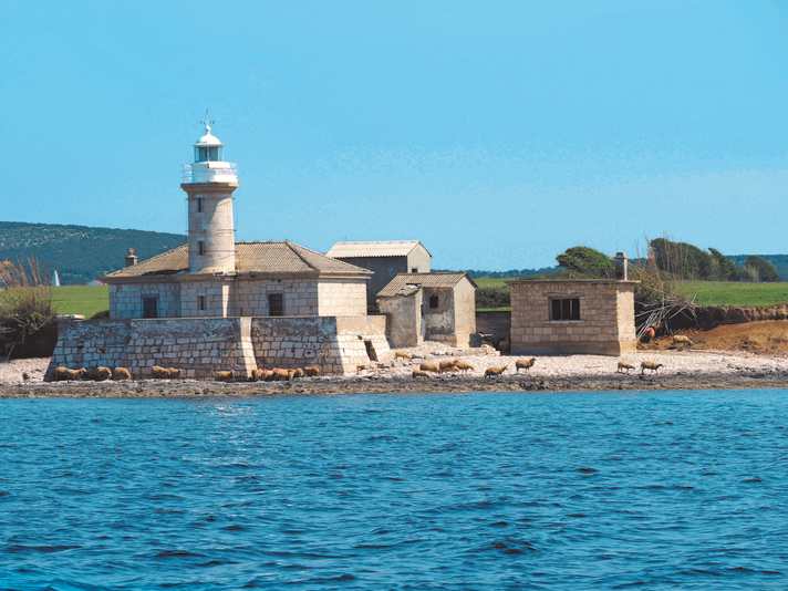 Un troupeau de moutons s'est rassemblé devant le phare de l'île d'Unije.