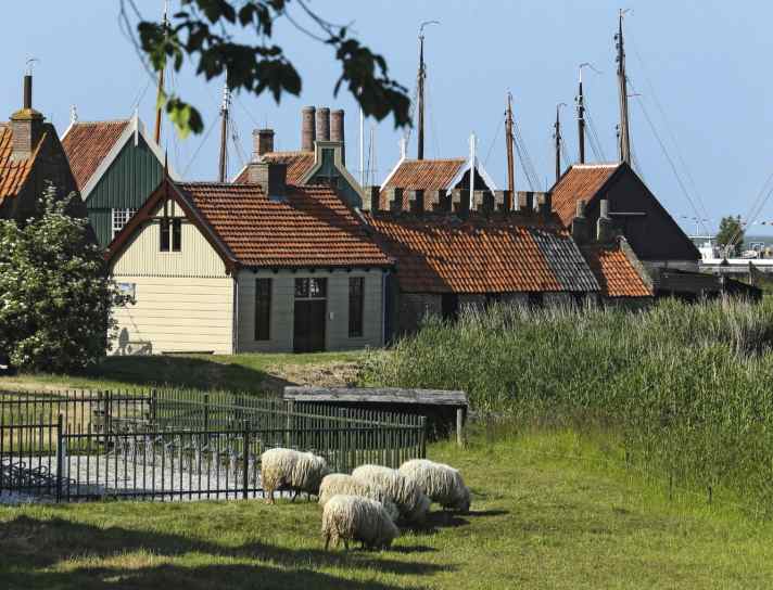 Lelystad: Klassisches Holland eben. Nicht vom Namen „Hoekipa Dijk“ täuschen lassen.