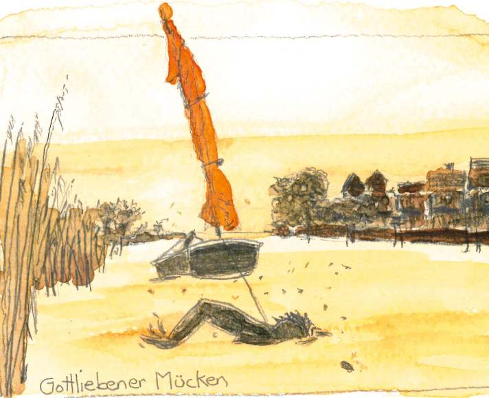 Mückenplage in Gottlieben