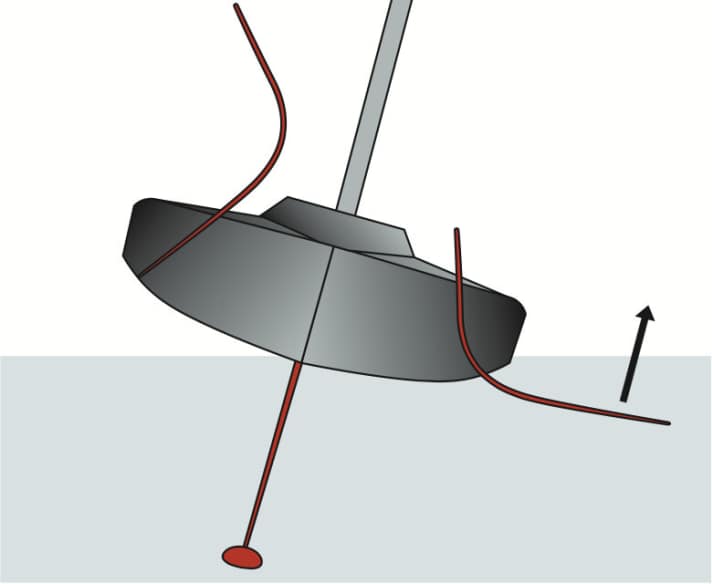   DSS-Foils