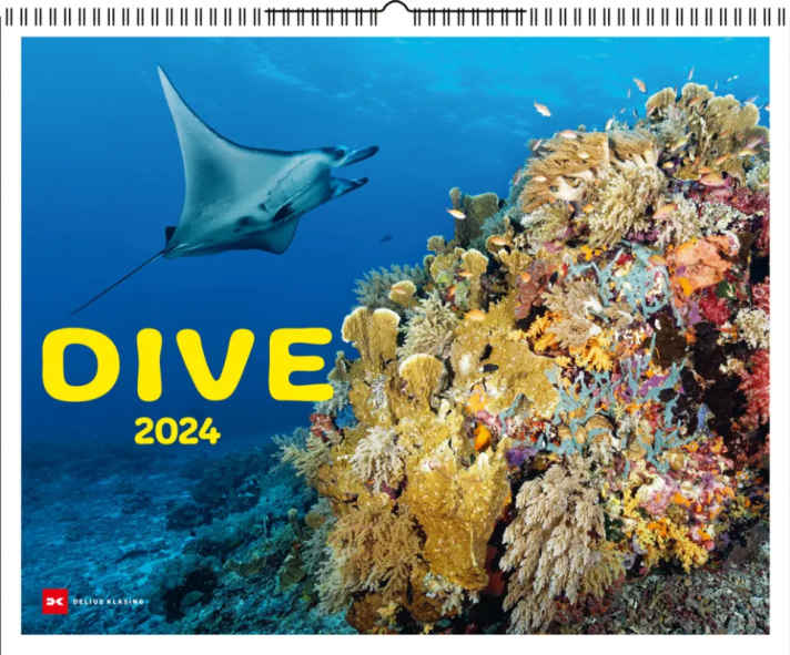 surf/dive-24-cover_2decd6972be96e3c9a239b78f304c7fa
