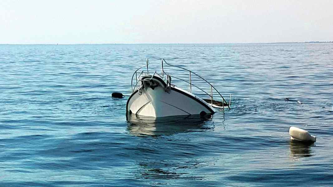 Basic knowledge of insurance