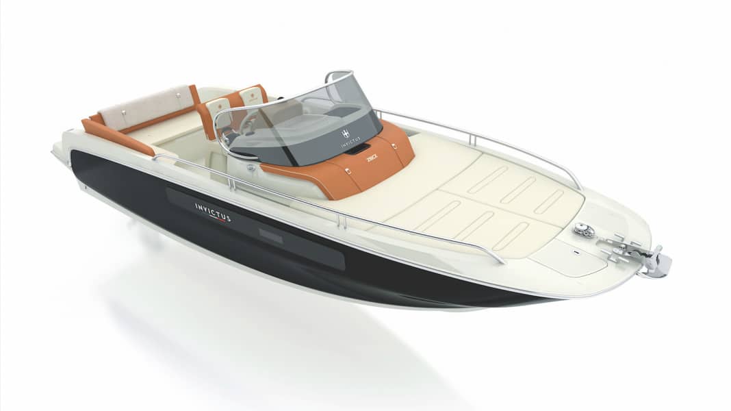 Novelty: Invictus 250 CX - What would you like?