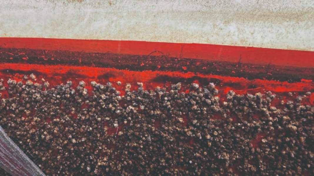 Schutz vor Bewuchs: Antifouling-Systeme im Überblick