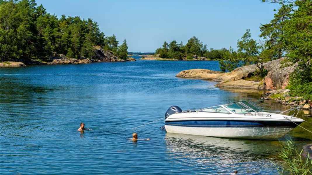 Baltic Sea: Scientists work on early warning system for vibrios