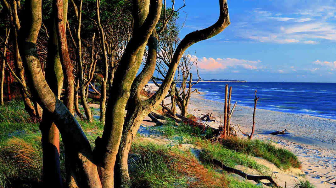 Vorpommersche Boddenlandschaft