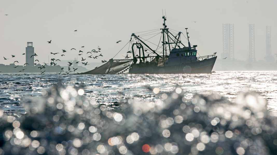 Photography: How to take better pictures on board