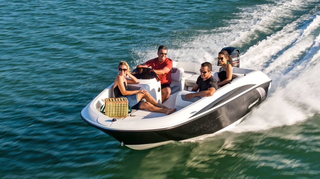 Bayliner Element