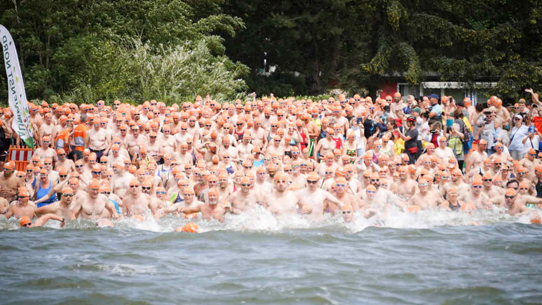 Sundschwimmen: 60th anniversary on the Strelasund - watch out in the fairway!